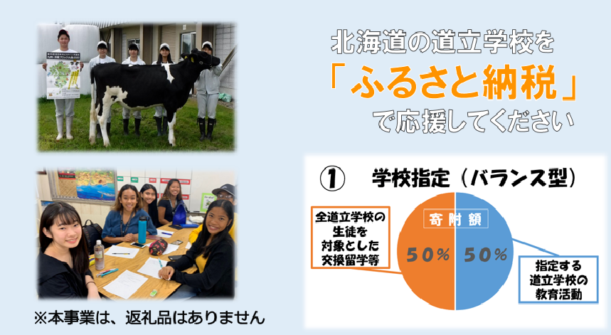 学校指定（バランス型）